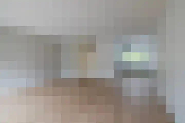 Hallsteinstraat 87 Zevenaar thumbnail 13