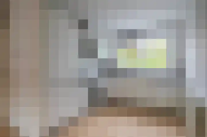 Hallsteinstraat 87 Zevenaar thumbnail 14