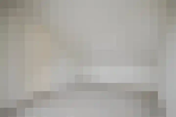 Hallsteinstraat 87 Zevenaar thumbnail 31