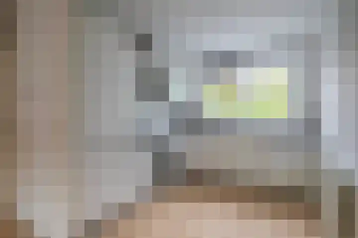 Hallsteinstraat 87 Zevenaar thumbnail 4