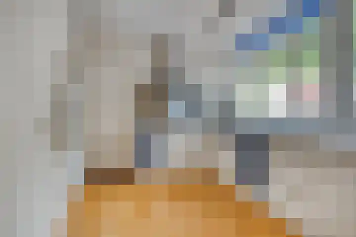 Halmersinge 16 Zuidlaren thumbnail 15