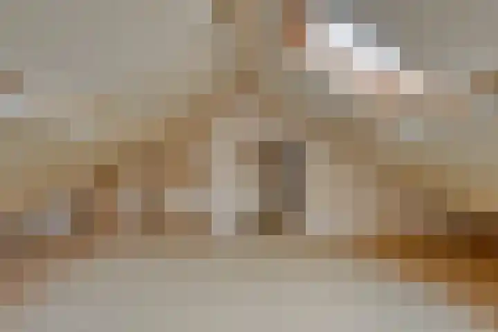Halmersinge 16 Zuidlaren thumbnail 25