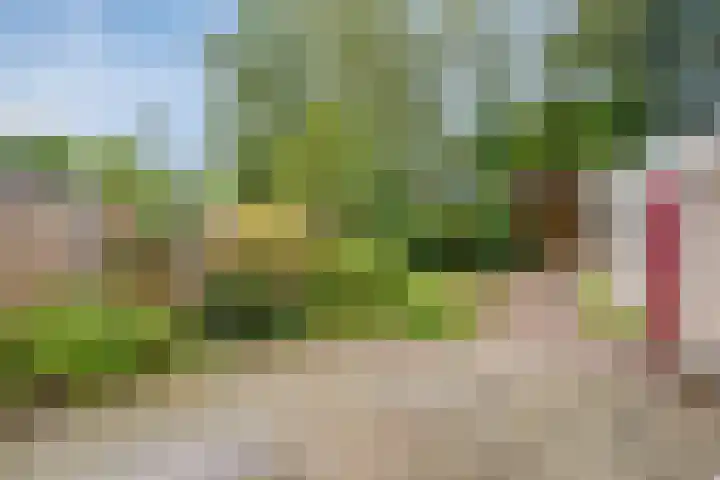 Halmersinge 16 Zuidlaren thumbnail 28