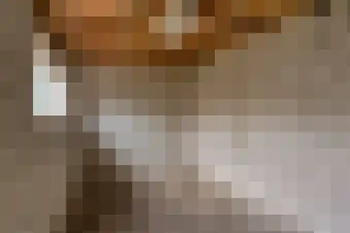 Halmersinge 16 Zuidlaren thumbnail 31