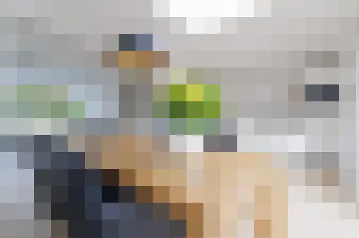 Halmersinge 57 Zuidlaren thumbnail 22