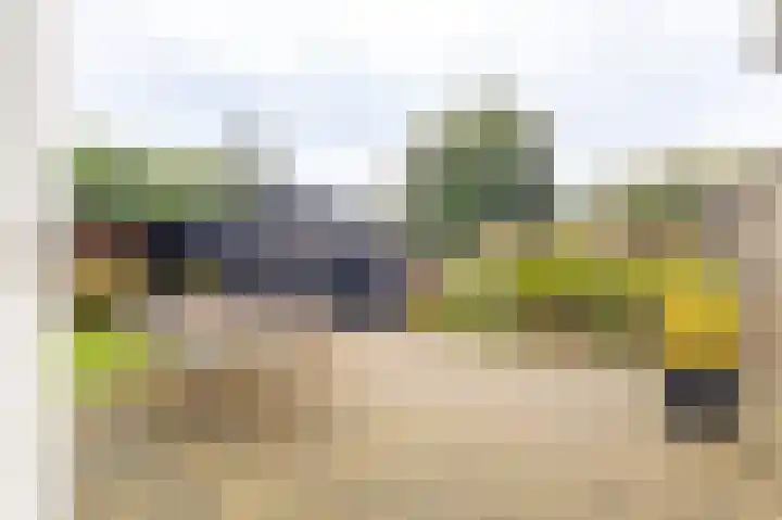 Halmersinge 57 Zuidlaren thumbnail 32