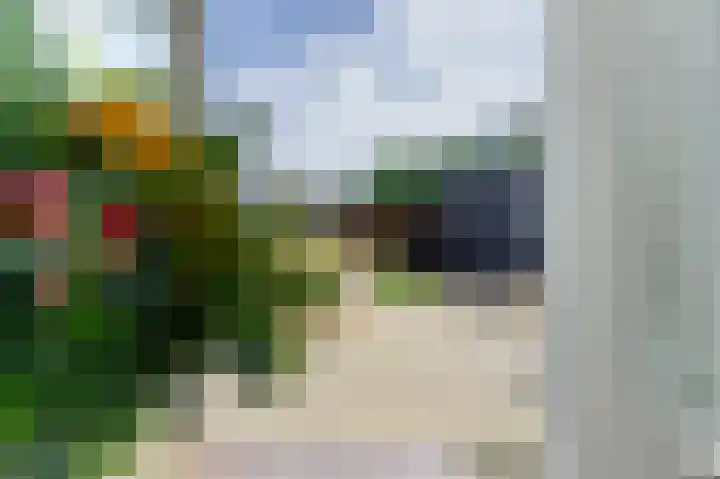 Halmersinge 57 Zuidlaren thumbnail 34