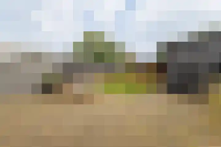 Halmersinge 57 Zuidlaren thumbnail 4