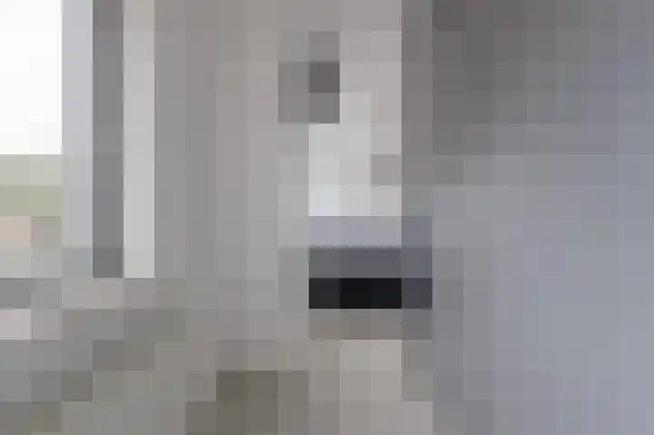 Halmersinge 57 Zuidlaren thumbnail 55