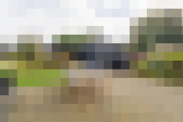 Halmersinge 57 Zuidlaren thumbnail 69