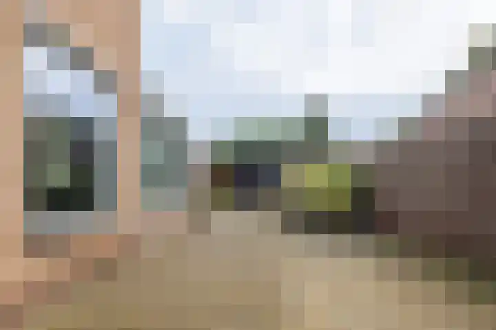 Halmersinge 57 Zuidlaren thumbnail 71