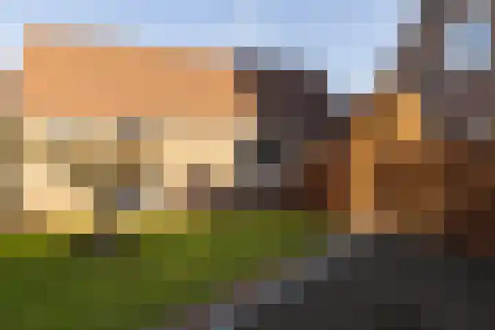Halmlaan 9 Nunspeet thumbnail 10