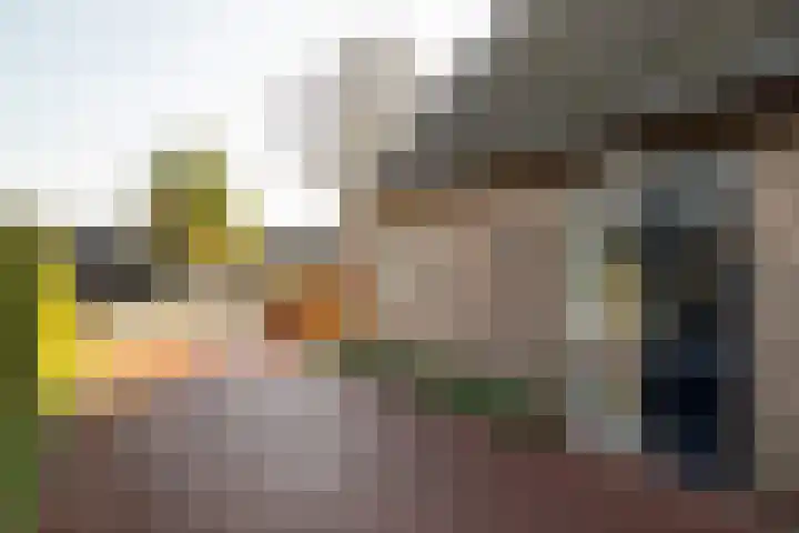 Halmlaan 9 Nunspeet thumbnail 14