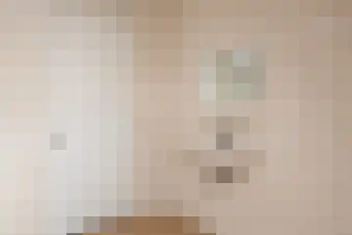 Halmlaan 9 Nunspeet thumbnail 43