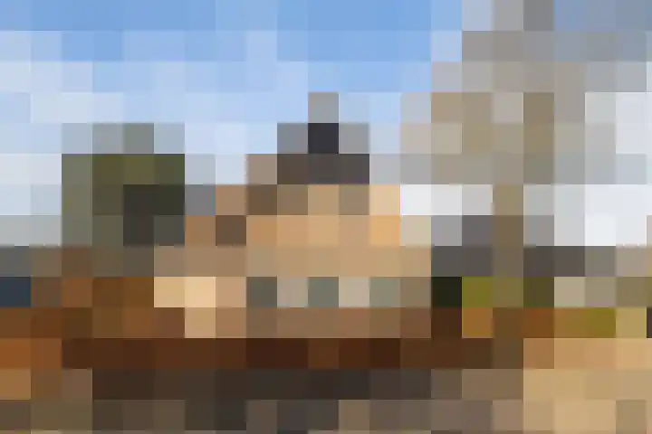Halmlaan 9 Nunspeet thumbnail 6