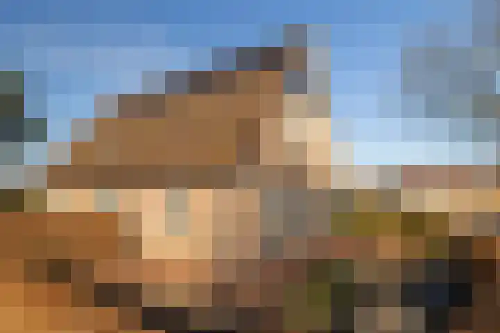 Halmlaan 9 Nunspeet thumbnail 7