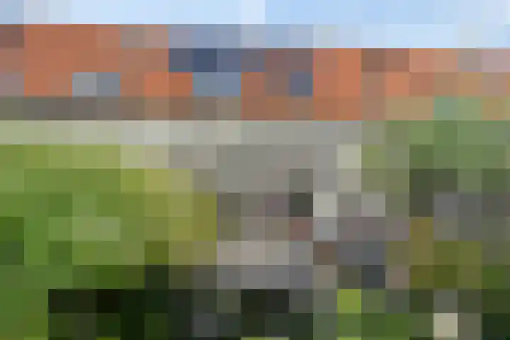 Halmstraat 23 Purmerend thumbnail 29