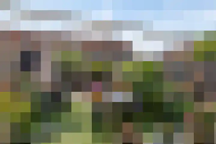 Halmstraat 23 Purmerend thumbnail 5