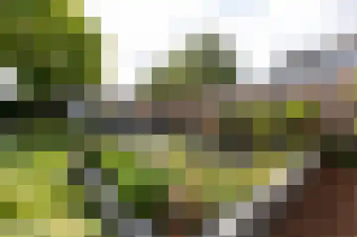Halseweg 21 Zelhem thumbnail 30