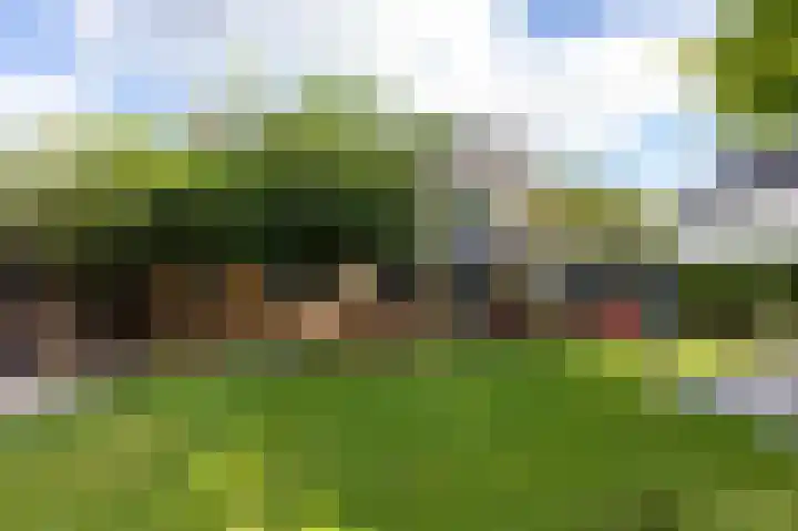 Halseweg 21 Zelhem thumbnail 31