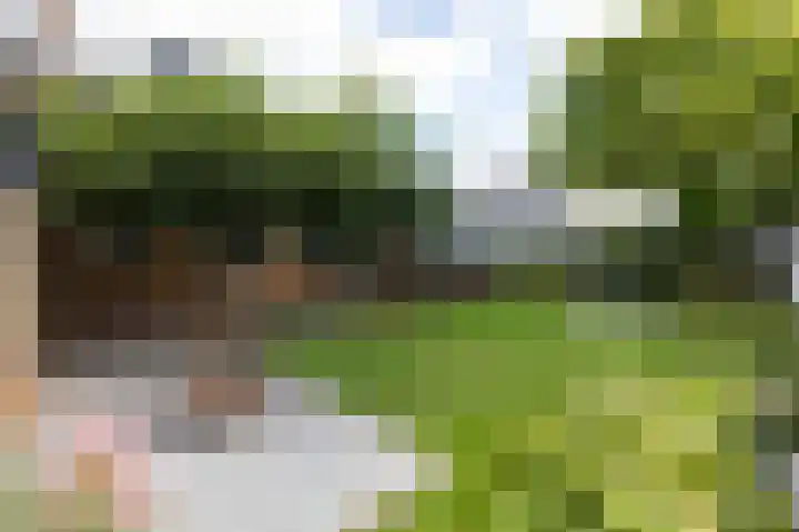 Halseweg 21 Zelhem thumbnail 32