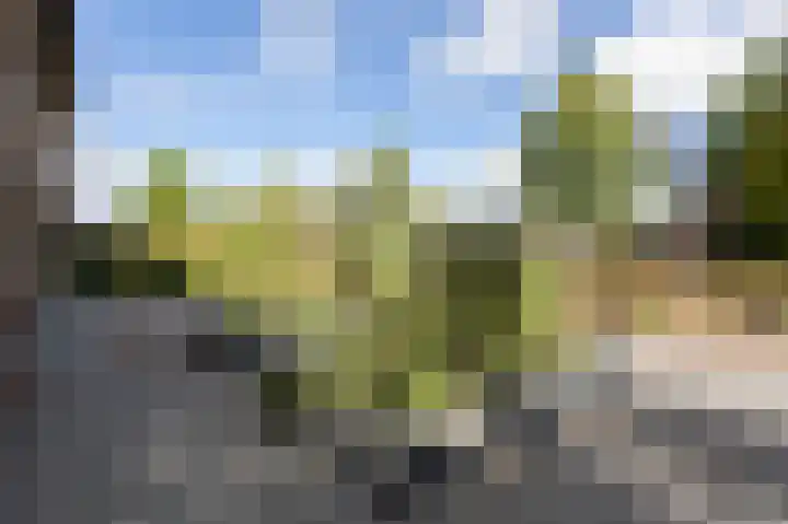 Halseweg 21 Zelhem thumbnail 38