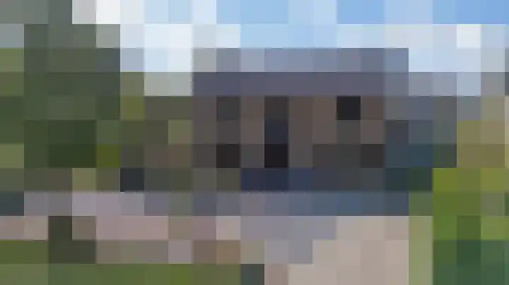 Halseweg 21 Zelhem thumbnail 40