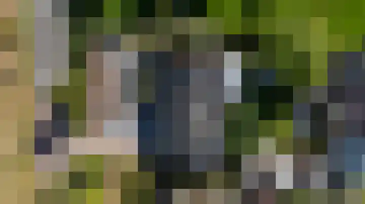 Halseweg 21 Zelhem thumbnail 41