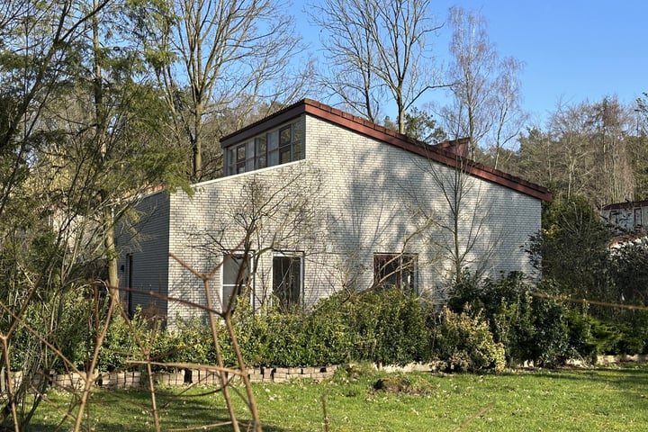 Halseweg 54-60 in Halle foto