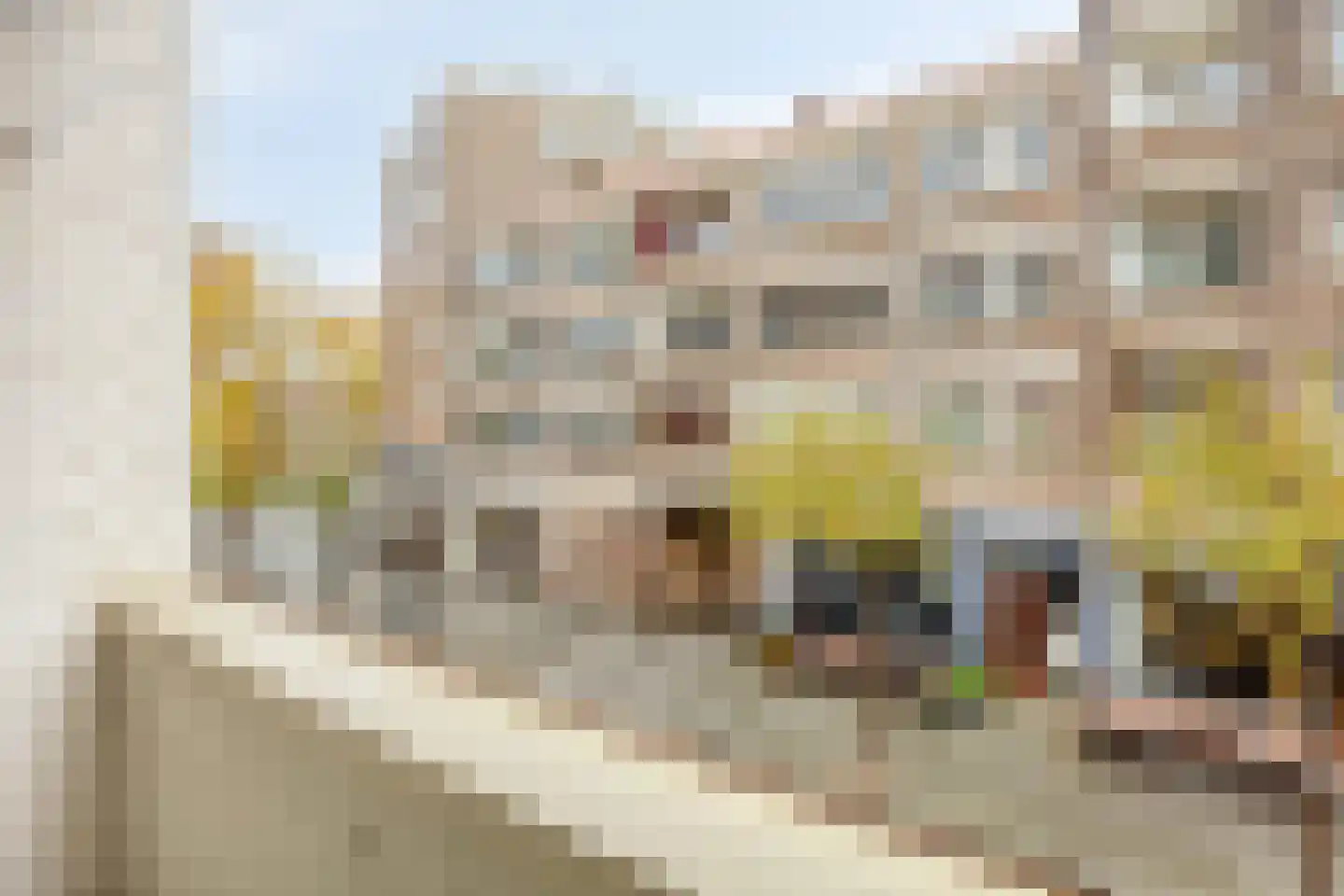 Halstraat 28 B Rotterdam thumbnail 18