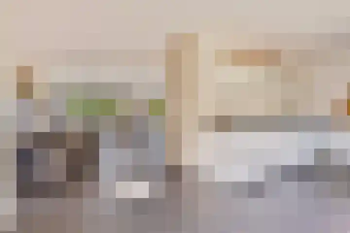 Haltepad 33 Zuidbroek thumbnail 11