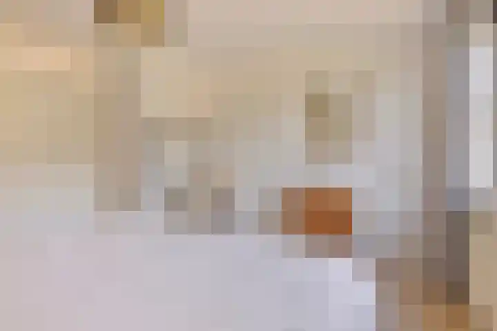 Haltepad 33 Zuidbroek thumbnail 18