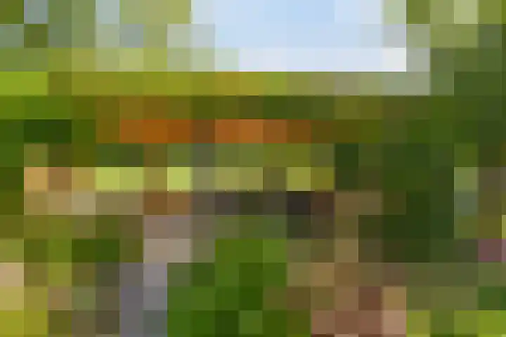 Haltepad 33 Zuidbroek foto 2