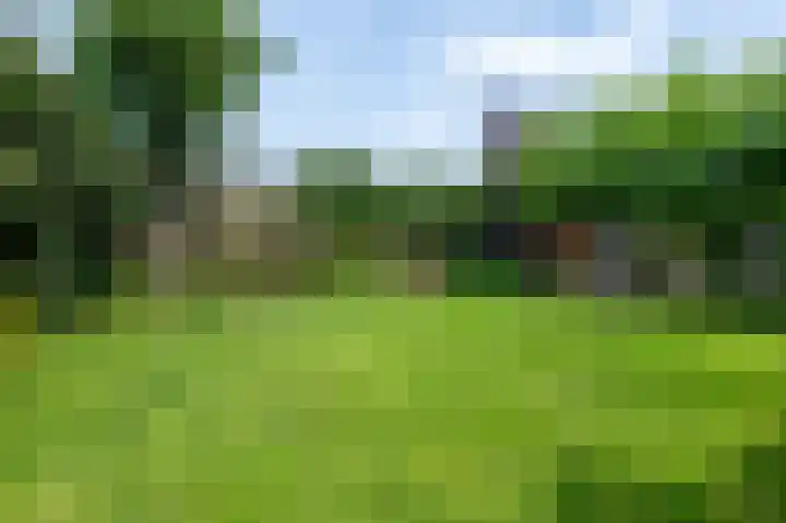 Haltepad 33 Zuidbroek thumbnail 22