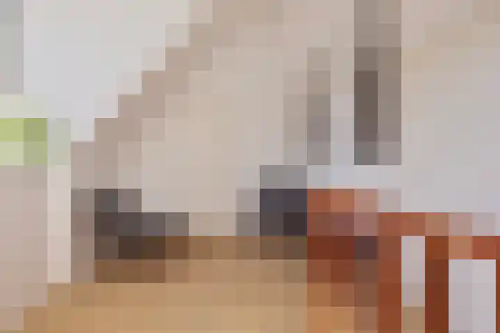 Haltepad 33 Zuidbroek thumbnail 23