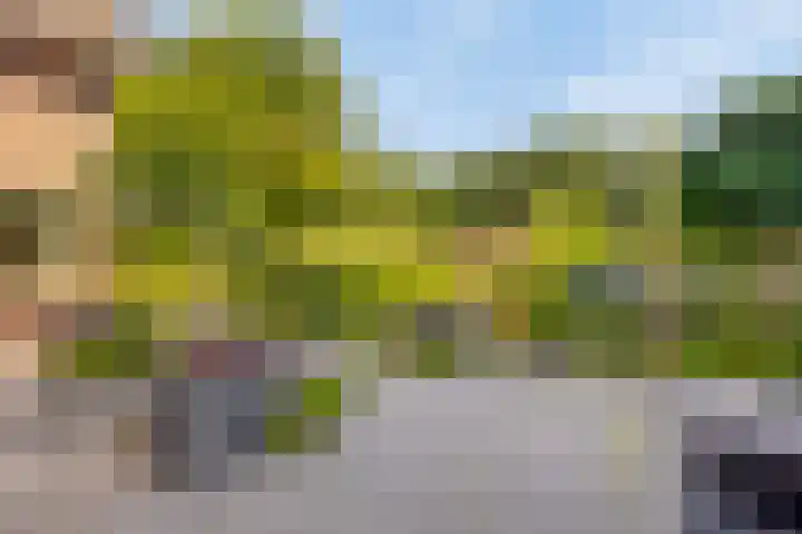 Haltepad 33 Zuidbroek thumbnail 26