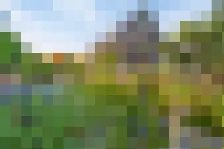 Haltepad 33 Zuidbroek thumbnail 27