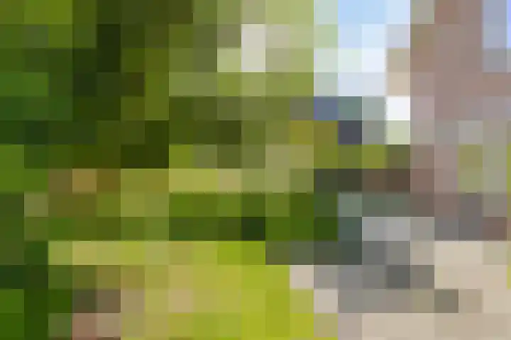 Haltepad 33 Zuidbroek thumbnail 28