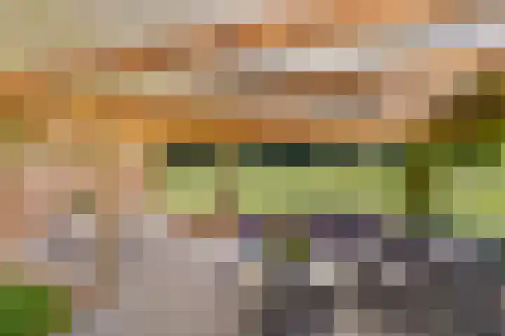 Haltepad 33 Zuidbroek thumbnail 30