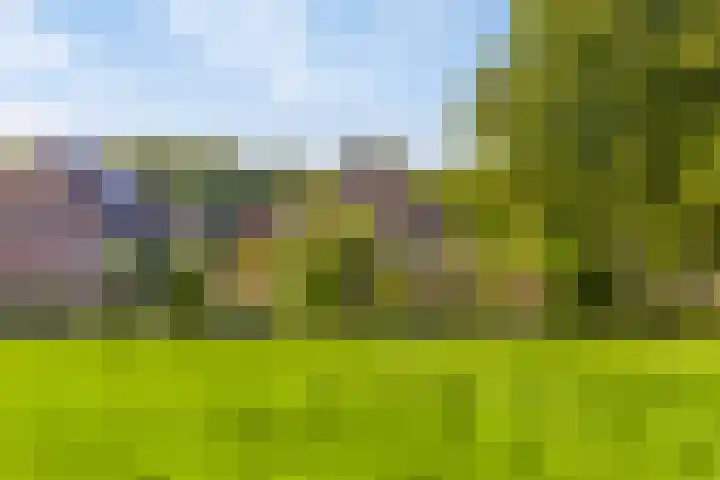 Haltepad 33 Zuidbroek thumbnail 31