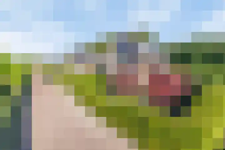 Haltepad 33 Zuidbroek thumbnail 37
