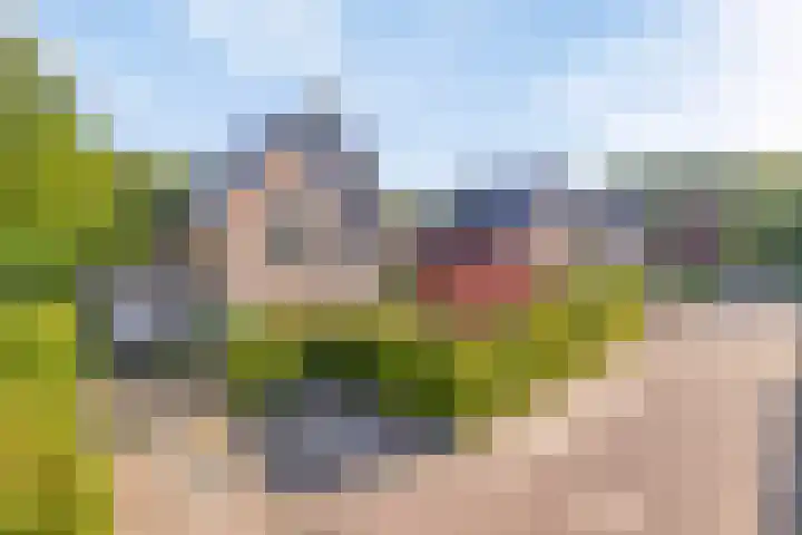 Haltepad 33 Zuidbroek thumbnail 5
