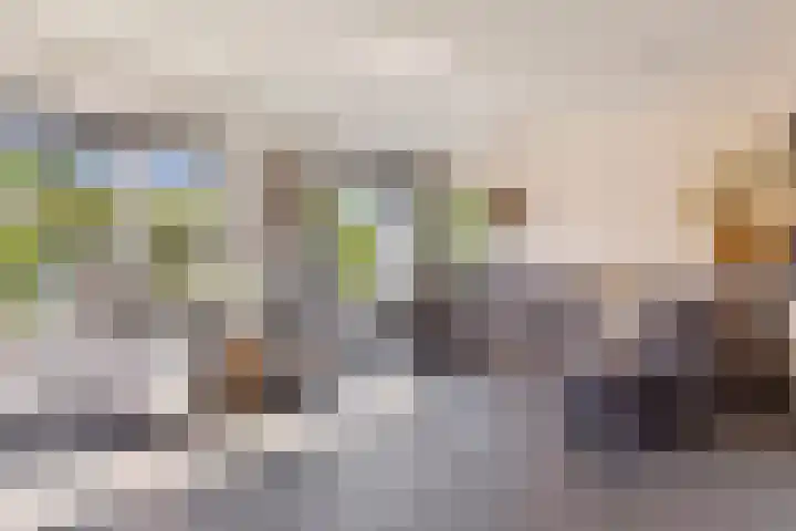 Haltepad 33 Zuidbroek thumbnail 7