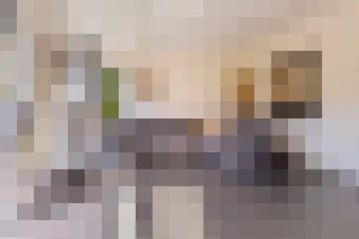 Haltepad 33 Zuidbroek thumbnail 8