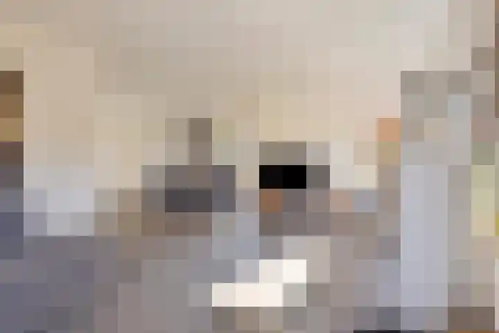 Haltepad 33 Zuidbroek thumbnail 9