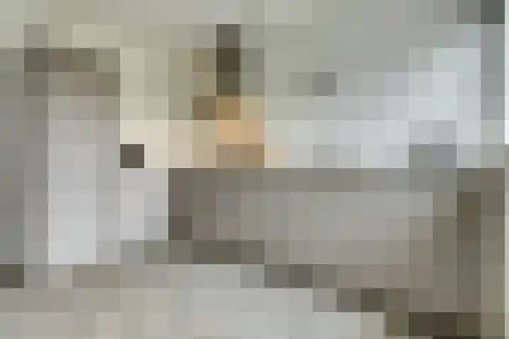Haltestraat 72 Rilland thumbnail 13