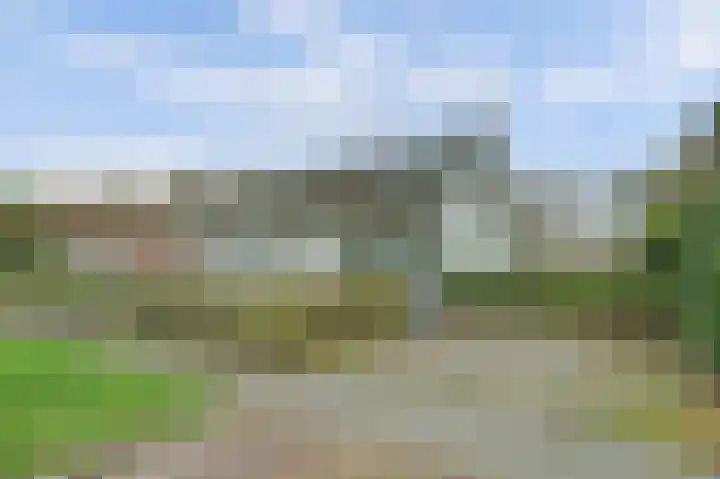 Haltestraat 72 Rilland thumbnail 39