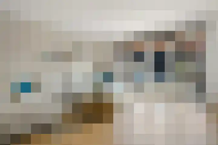 Ham 2 Poeldijk thumbnail 11