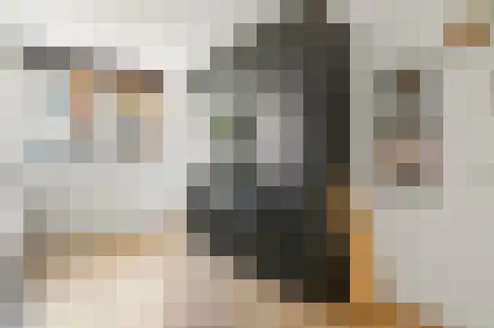 Ham 2 Poeldijk thumbnail 15
