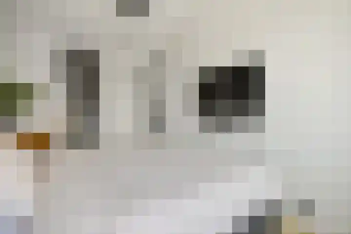 Ham 2 Poeldijk thumbnail 24